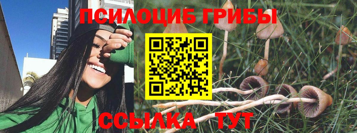 Псилоцибиновые грибы ЛСД Тында