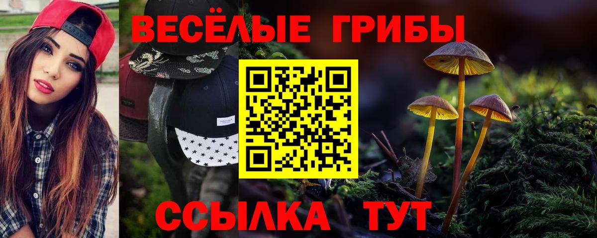 Псилоцибиновые грибы MAGIC MUSHROOMS  Вход с VPN  Тында 